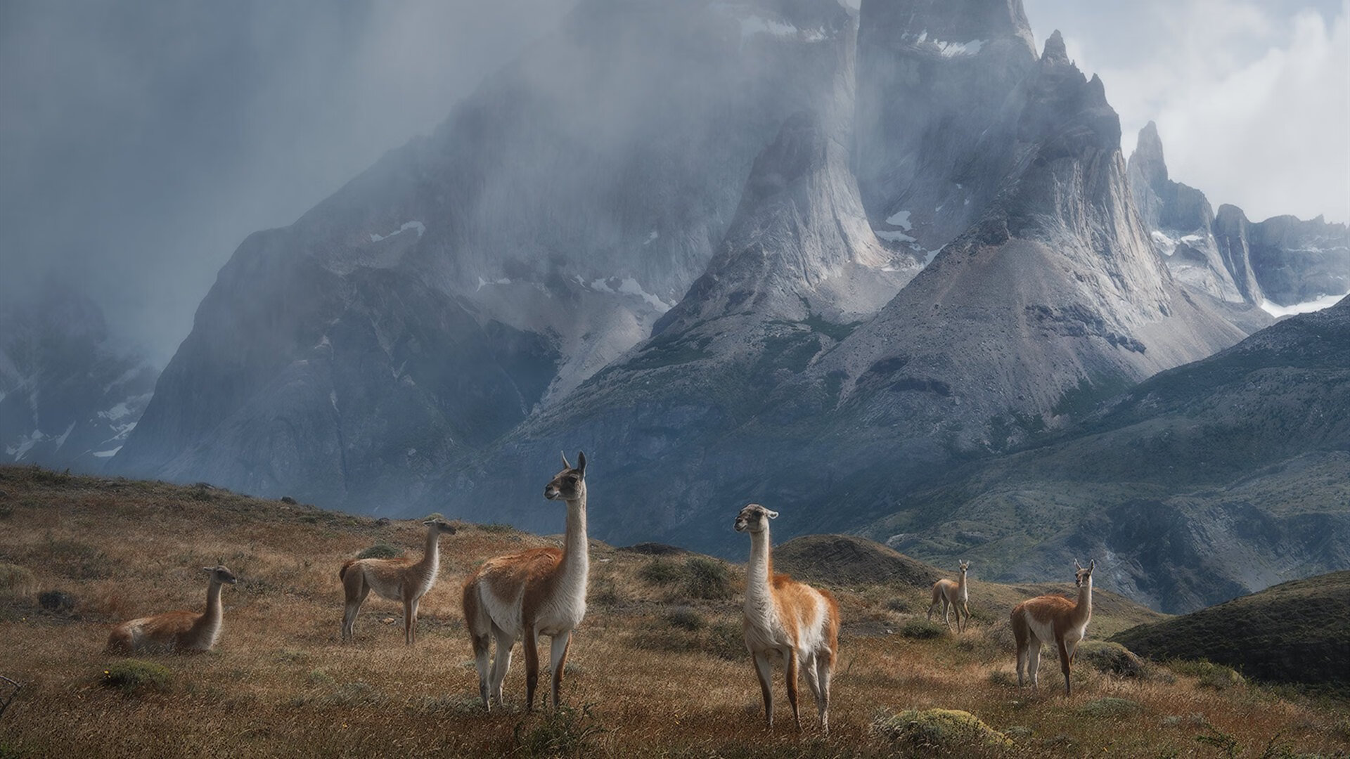 开云体育链接-巴西队在美洲杯小组赛中以1胜2平的战绩晋级八强，巴西队美洲杯主力阵容